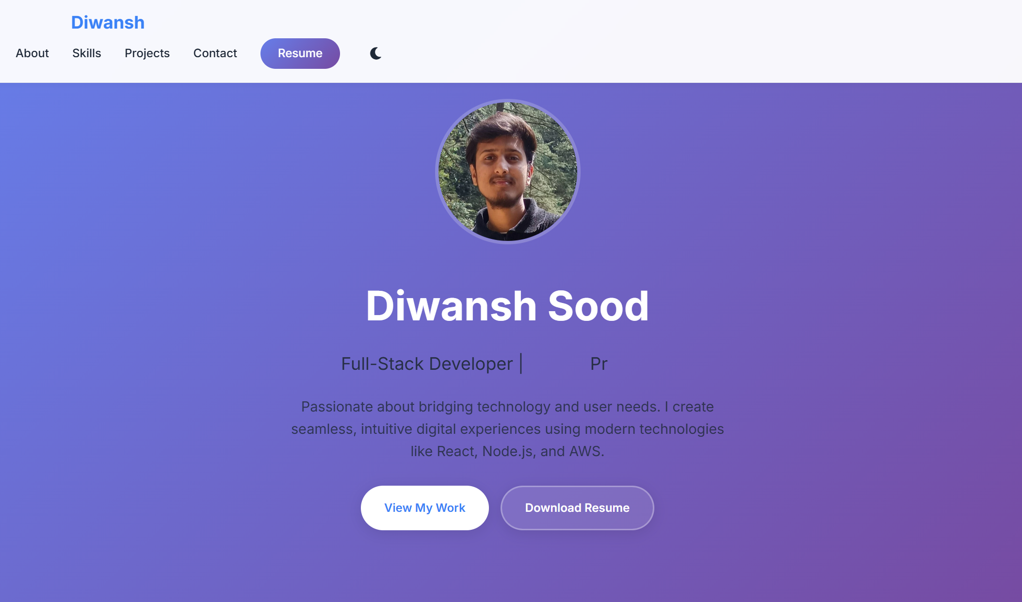 Professional Portfolio Website